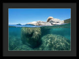 Whale Beach Underwater Split - Framed Print