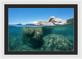 Whale Beach Underwater Split - Framed Print