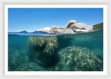 Whale Beach Underwater Split - Framed Print