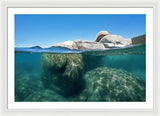 Whale Beach Underwater Split - Framed Print