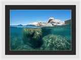 Whale Beach Underwater Split - Framed Print