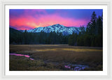 Winter Meadow By Brad Scott - Framed Print