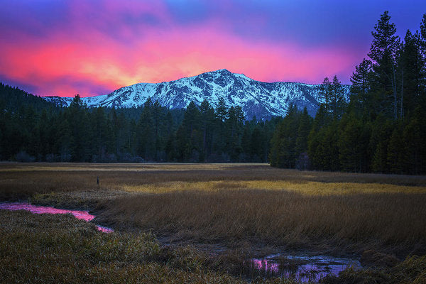 Winter Meadow By Brad Scott - Art Print