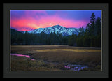 Winter Meadow By Brad Scott - Framed Print