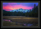 Winter Meadow By Brad Scott - Framed Print