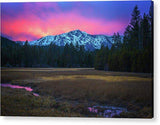 Winter Meadow By Brad Scott - Acrylic Print