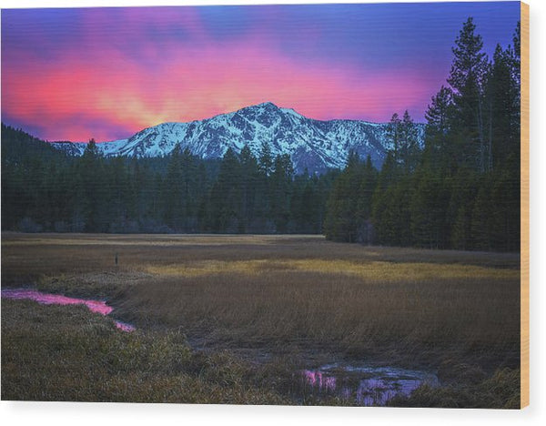 Winter Meadow By Brad Scott - Wood Print