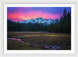 Winter Meadow By Brad Scott - Framed Print