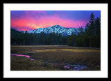 Winter Meadow By Brad Scott - Framed Print