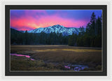 Winter Meadow By Brad Scott - Framed Print