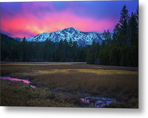 Winter Meadow By Brad Scott - Metal Print
