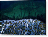 Winter Shores Aerial - Acrylic Print