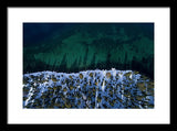 Winter Shores Aerial - Framed Print