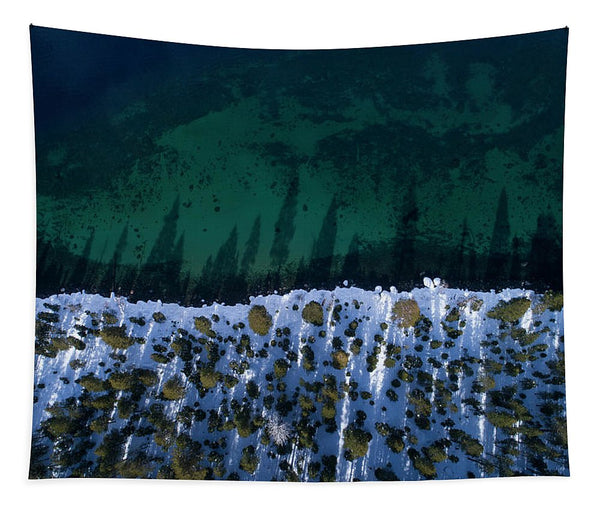Winter Shores Aerial - Tapestry