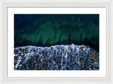 Winter Shores Aerial - Framed Print