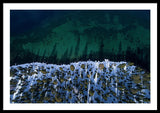 Winter Shores Aerial - Framed Print