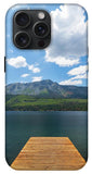Fallen Leaf Dock - Phone Case