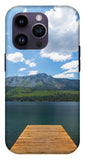 Fallen Leaf Dock - Phone Case