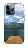 Fallen Leaf Dock - Phone Case
