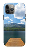Fallen Leaf Dock - Phone Case