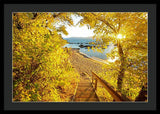Autumn Steps - Lake Tahoe - Framed Print
