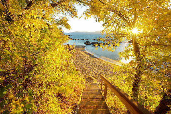Autumn Steps - Lake Tahoe - Art Print