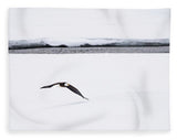 Bald Eagle Fly By - Blanket-Lake Tahoe Prints
