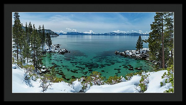 Blue Bird Secret Cove By Brad Scott - Framed Print