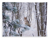 Coyote In The Aspens - Blanket-Lake Tahoe Prints