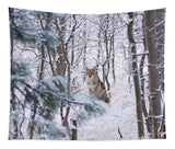 Coyote In The Aspens - Tapestry