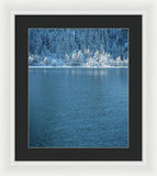 Emerald Bay Frozen Trees by Brad Scott - Framed Print