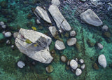 Emerald Waters - Bonsai Rock, Lake Tahoe - Puzzle