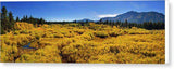 Fall Colors At Kiva - Canvas Print-20.000" x 6.625"-Lake Tahoe Prints