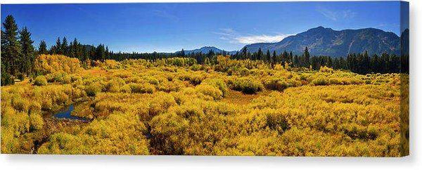 Fall Colors At Kiva - Canvas Print-20.000" x 6.625"-Lake Tahoe Prints