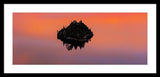 Fannette Island Lake Tahoe - Last Sunset Of The Decade - Framed Print