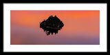 Fannette Island Lake Tahoe - Last Sunset Of The Decade - Framed Print