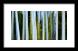 Ghosts Of Fall - Framed Print
