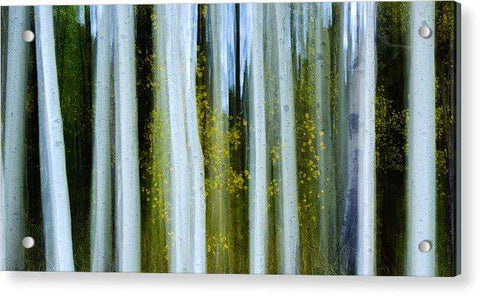 Ghosts Of Fall - Acrylic Print