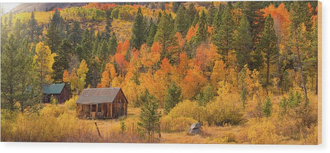 Hope Valley Fall Cabin By Brad Scott - Wood Print