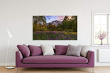 Lupine Spring By Mike Breshears - Acrylic Print