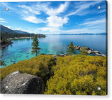 Manzanita View - Sand Harbor Lake Tahoe - Acrylic Print