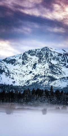 Mt Tallac Foggy Meadow - Art Print by Brad Scott