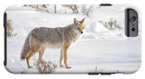 Posing Coyote - Phone Case-Lake Tahoe Prints