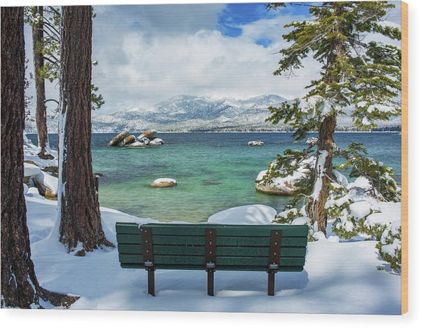 Sit And Relax By Brad Scott - Wood Print