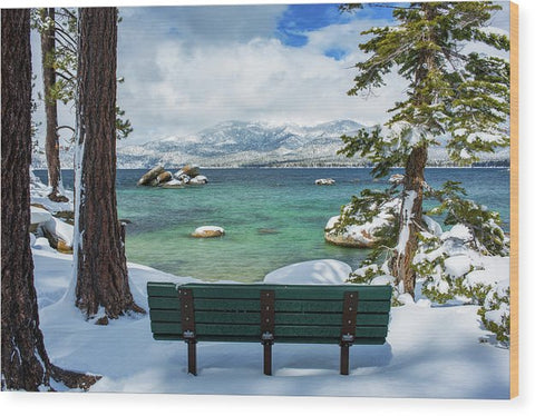 Sit And Relax By Brad Scott - Wood Print