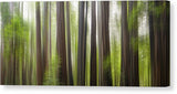 Take Me To The Forest by Brad Scott - Canvas Print