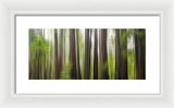 Take Me To The Forest by Brad Scott - Framed Print