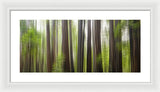 Take Me To The Forest by Brad Scott - Framed Print
