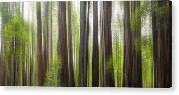 Take Me To The Forest by Brad Scott - Acrylic Print