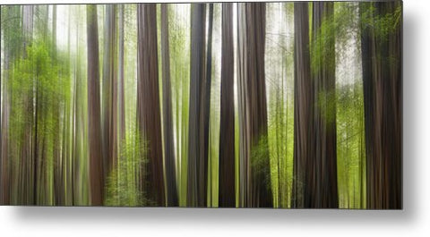 Take Me To The Forest - Metal Print